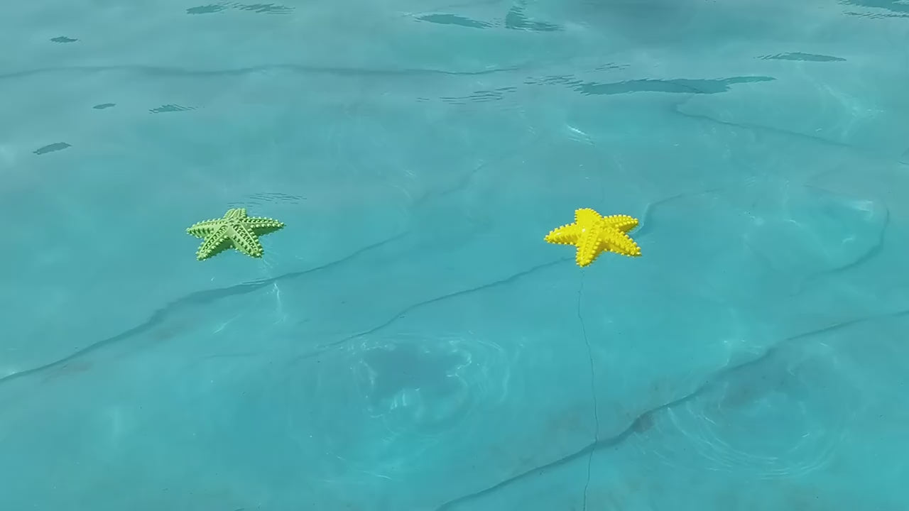 Squeaky Starfish Dog Toy