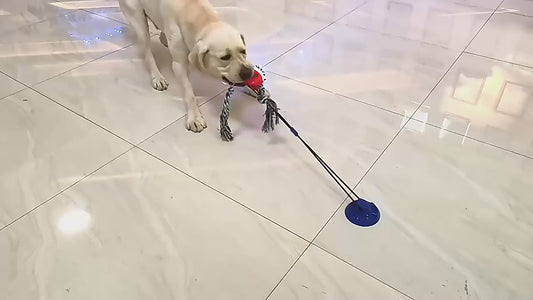 Reinforced Suction Tug Ball (Model A)