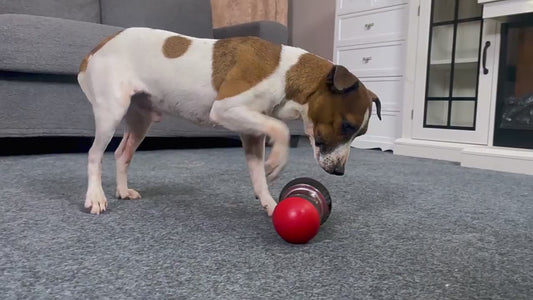 Super Ball