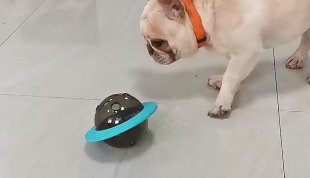 Dog UFO Treat Dispensing Toy