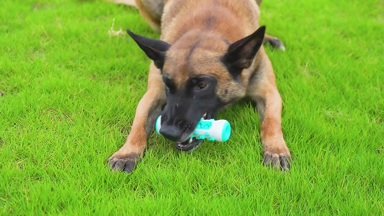 Dog Teeth Cleaning Bone Toy-B