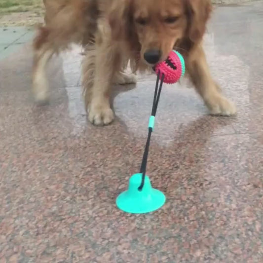Suction Cup Tug Ball (Model A)