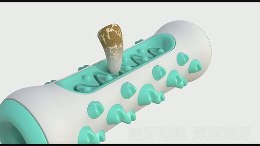 Dog Teeth Cleaning Bone Toy-A