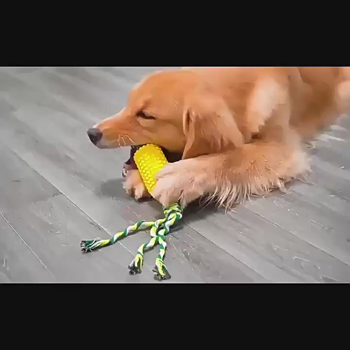 Rope Knot Corn Chew Toy